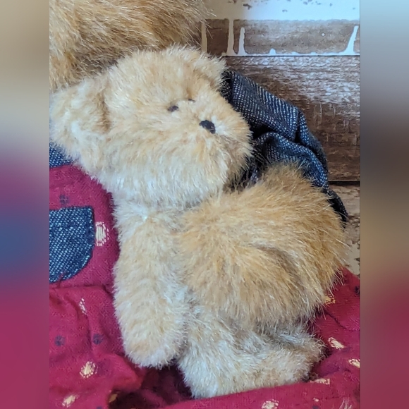 Rare Find Boyds Bears Elizabeth M Spangler Fall 2005 Cracker Barrel Plush - Picture 4 of 16